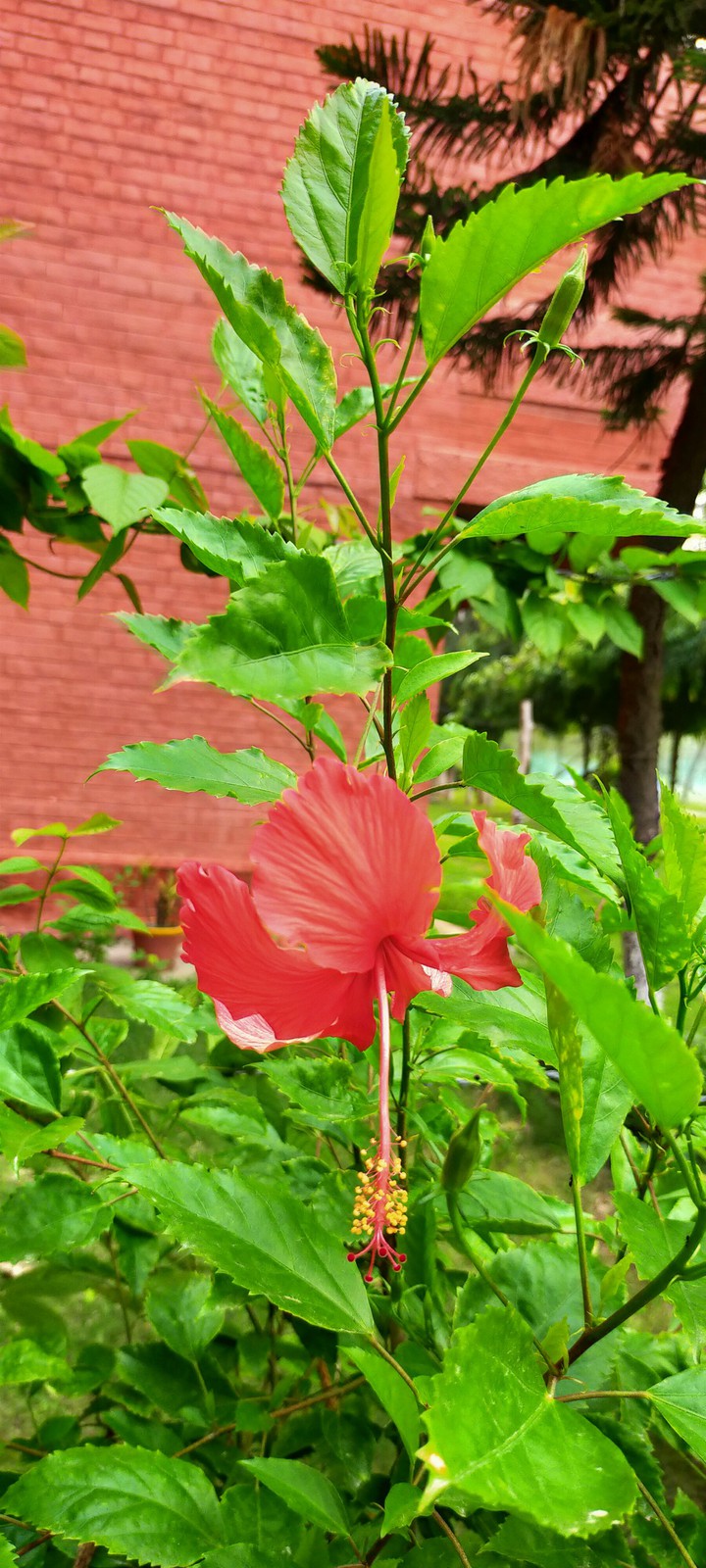 ◆♀◆