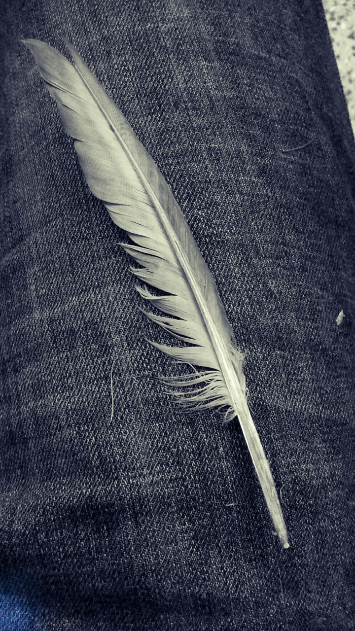 Feather
