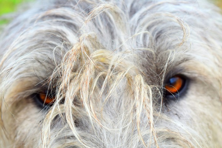 Eyes are soul reflection.