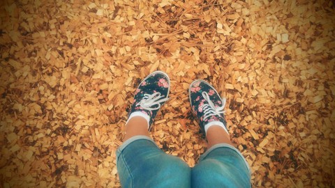 the swing