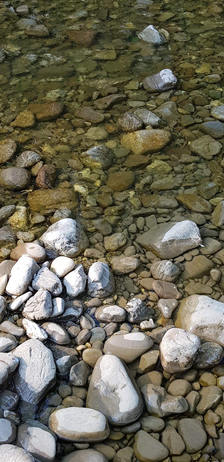 L'acqua  che scorre  limpida  nel fiume