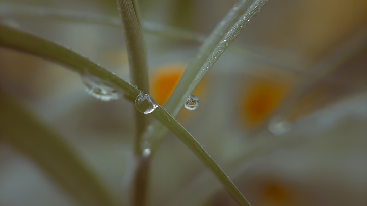 raindropr