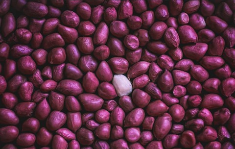 nuts