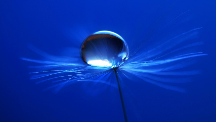 4k Dewdrop
