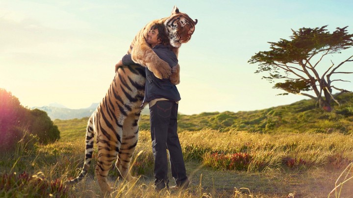 Loving & Caring