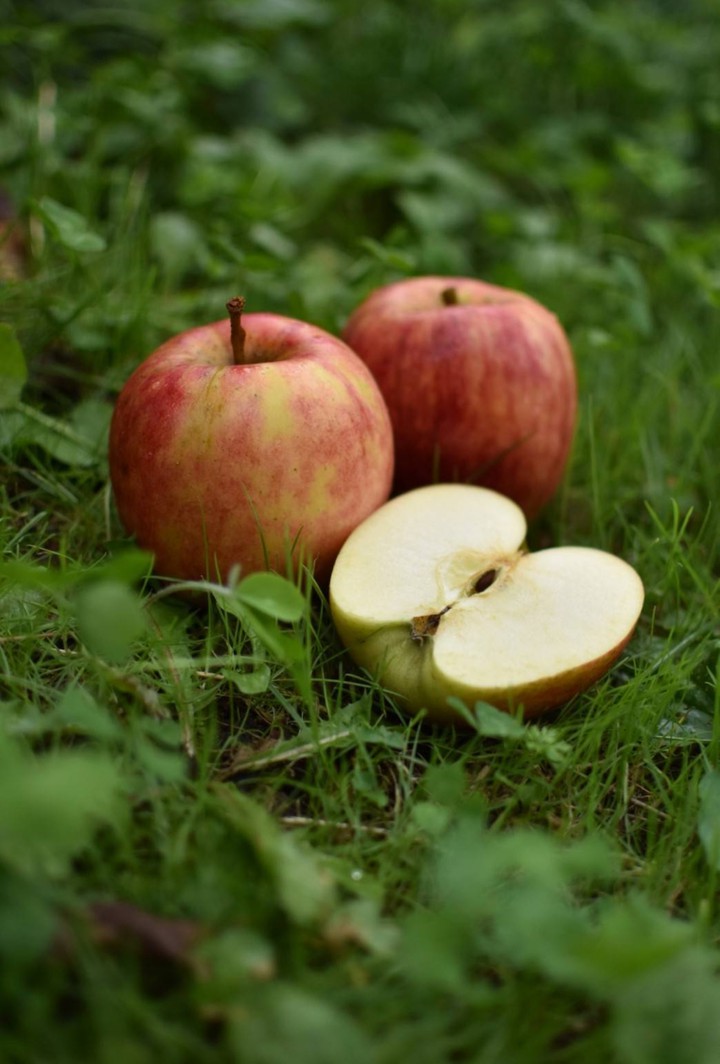 apple