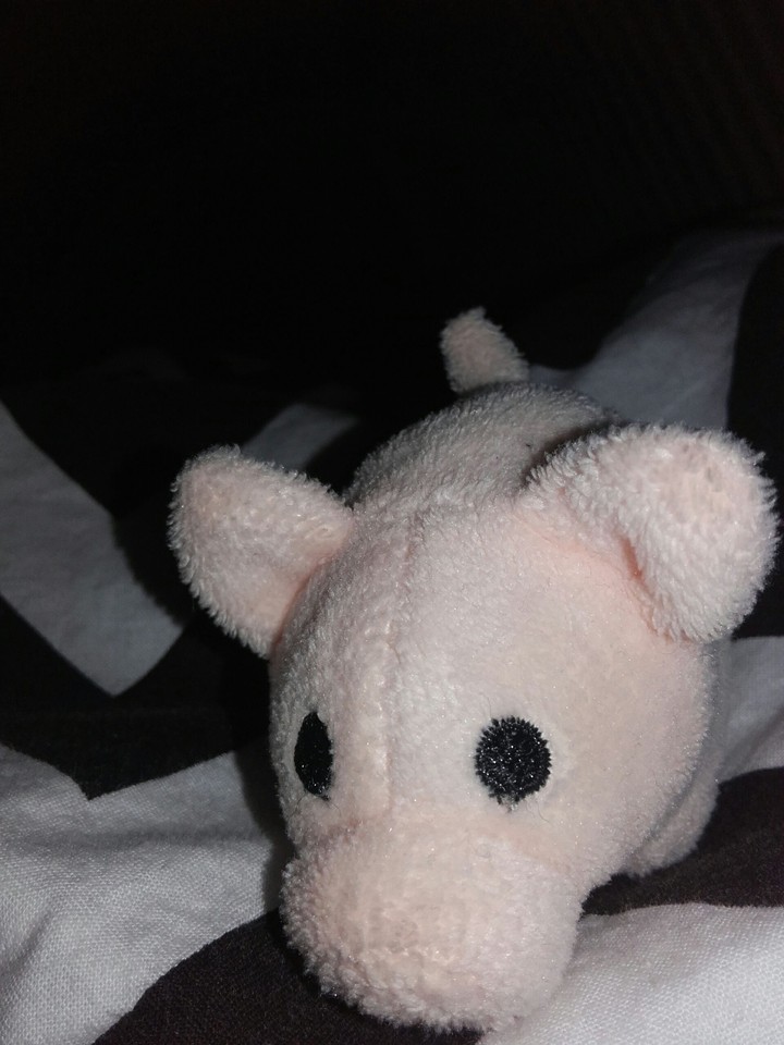 my litlle pigy
