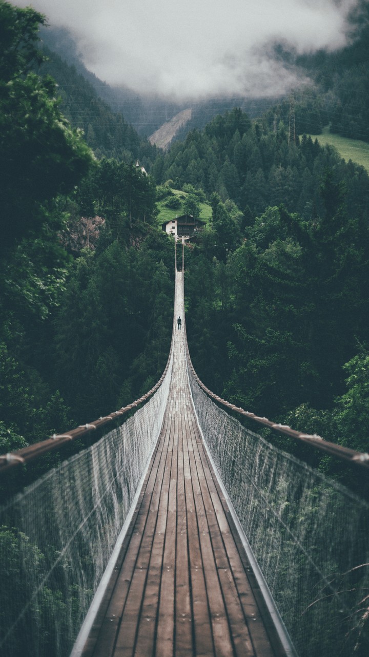 bridge