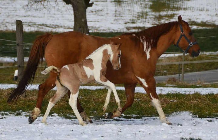 mother and daughter