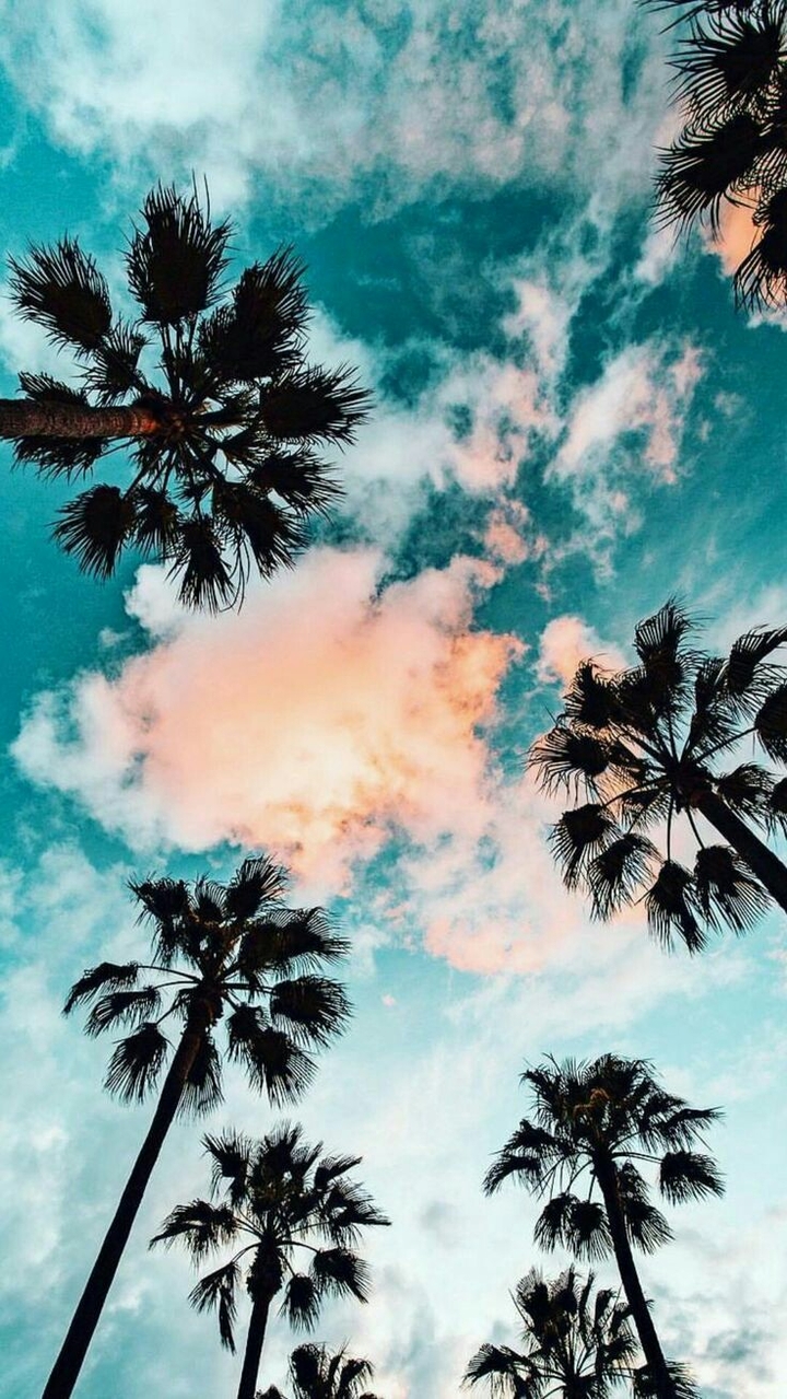trees