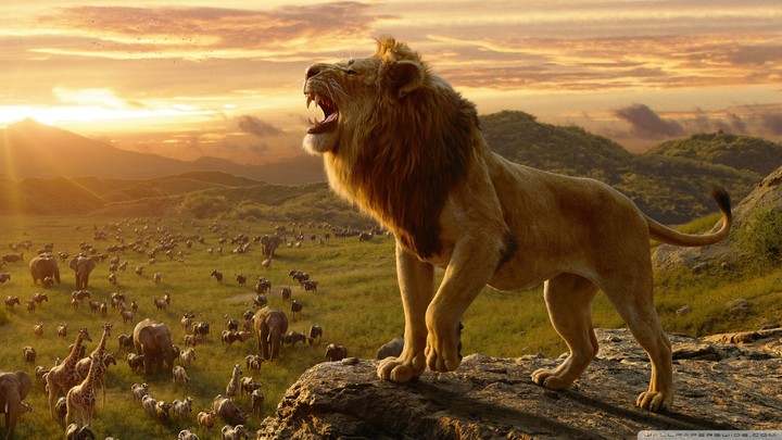 Lion king