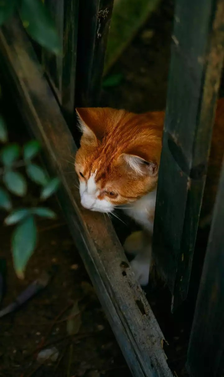 ☺