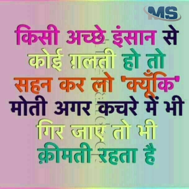 sacchi bat