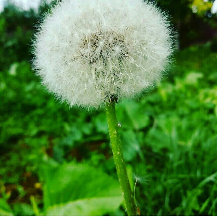 ❤❤