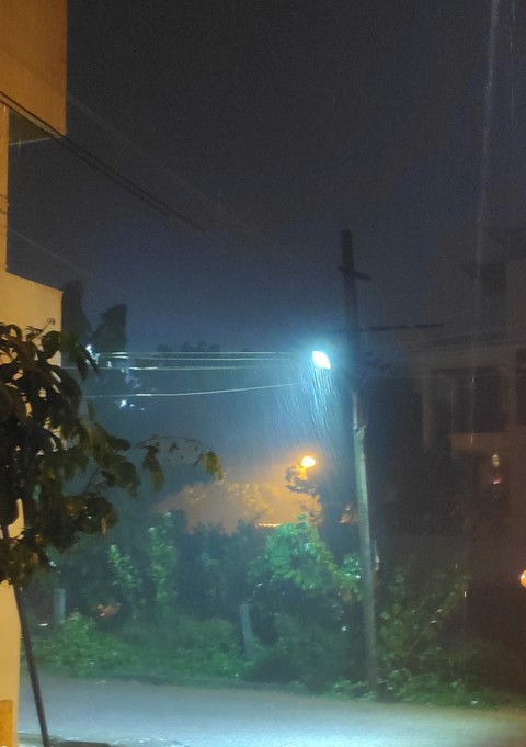 Rain