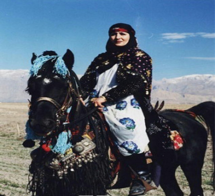 Kurdish horse
