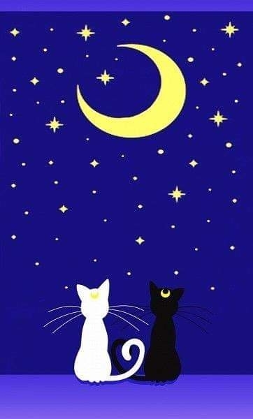chat chat