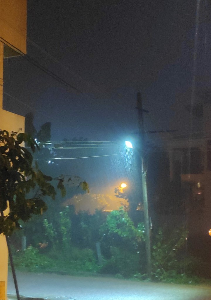 Rain