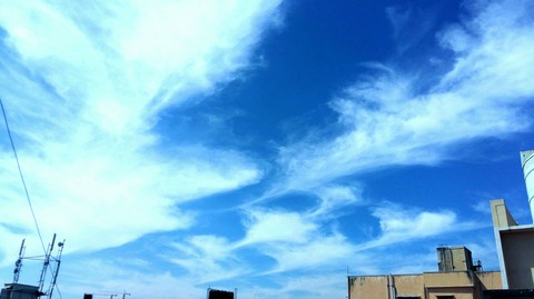 The Northern Winds