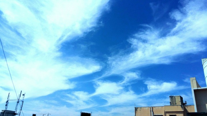 The Northern Winds