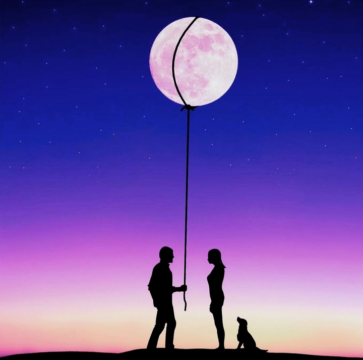 Dream ♡