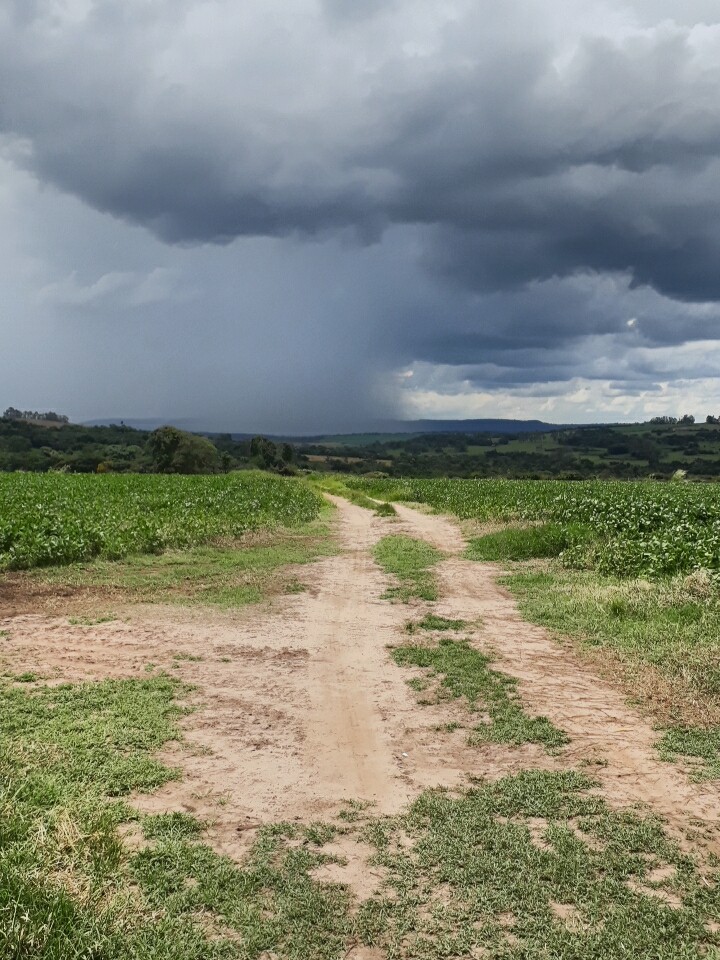 paisagem