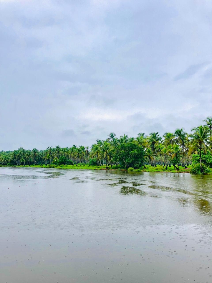 nature beauty