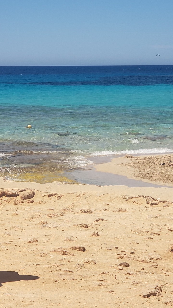 Ibiza