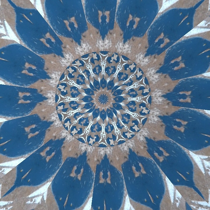 St.genevieve in the Domain, atx kaleidoscope