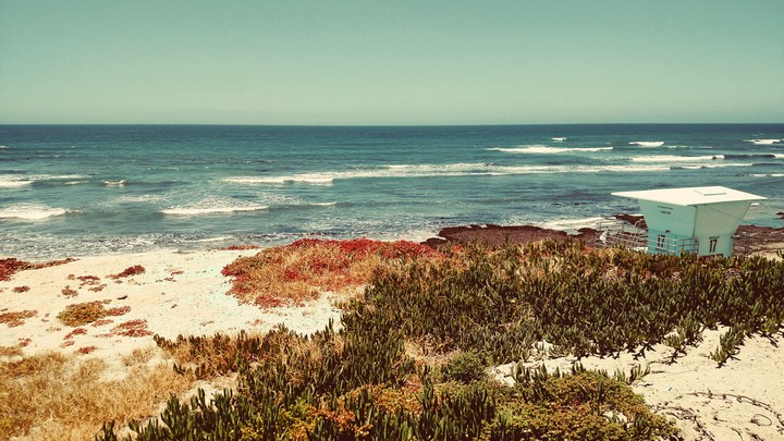 Cardiff Beach