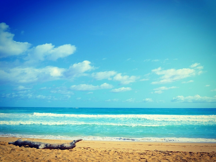Ocean