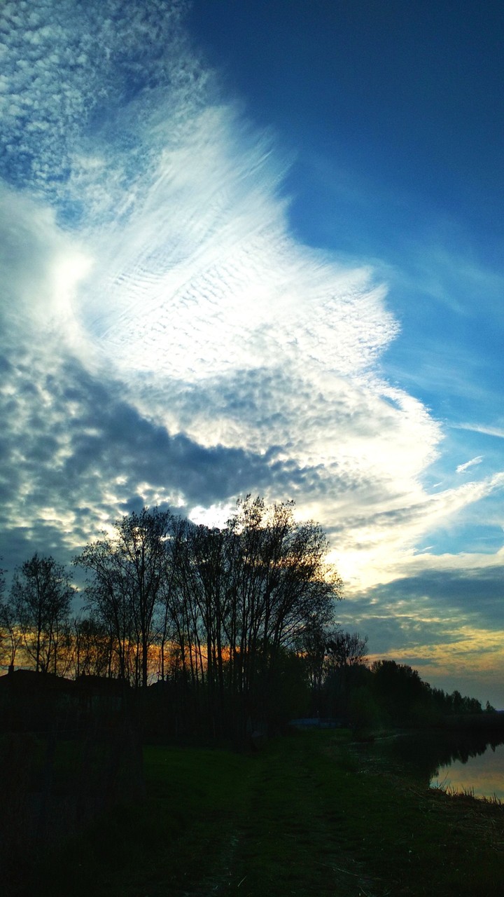 cloude