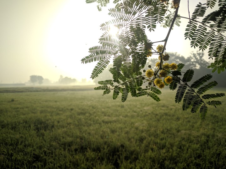 Beautiful Nature