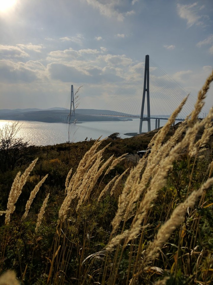 Bridge