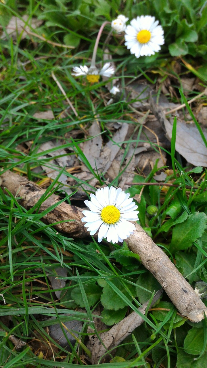 Photo taken by me
