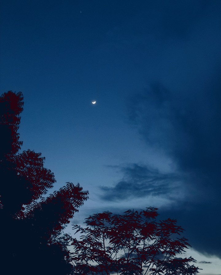 talking to the moon