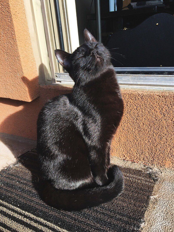 the first rays of the spring sun