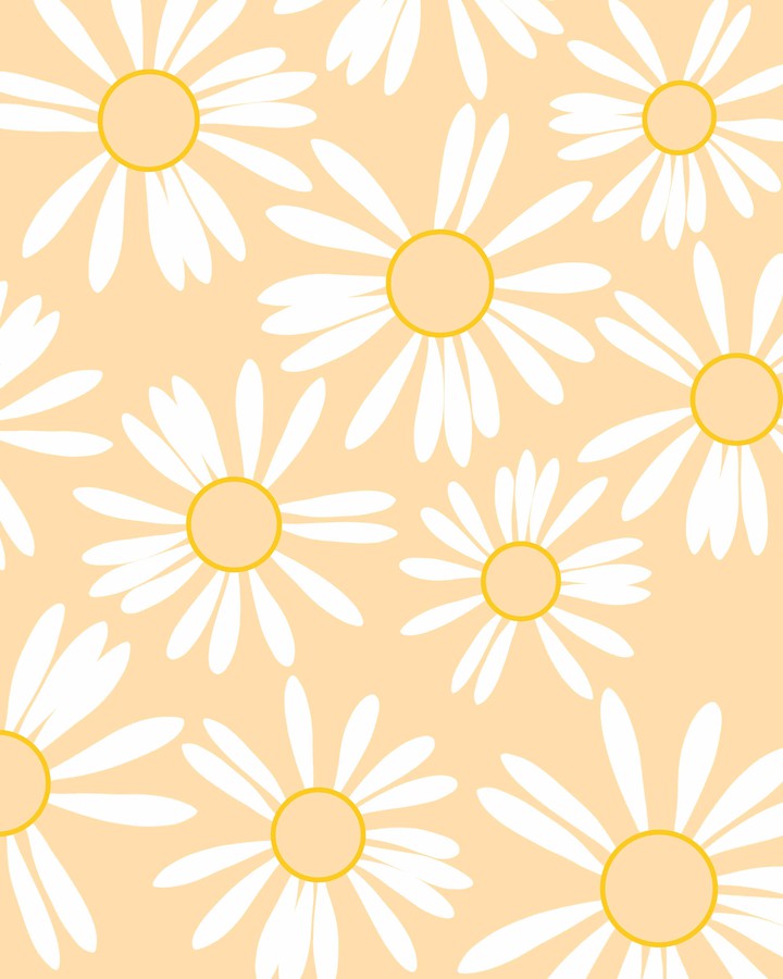 daisy