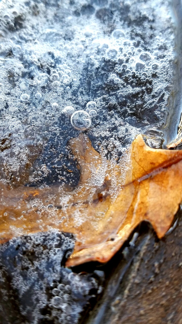 Frozen in time