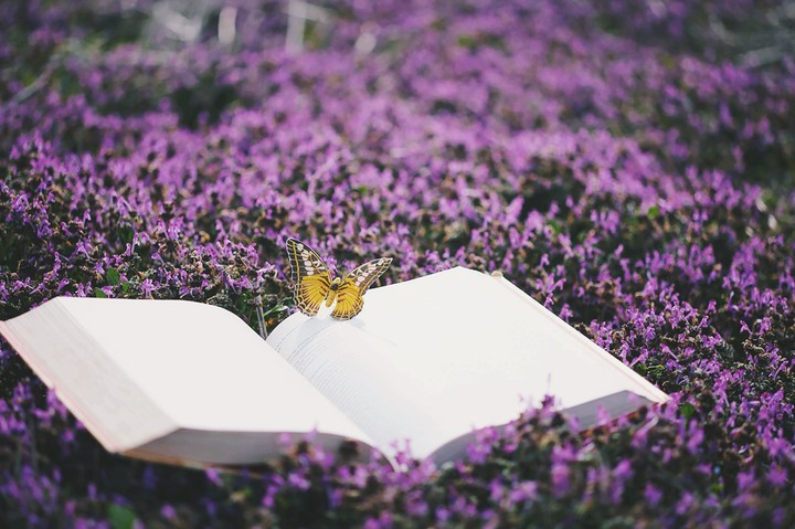 Reading