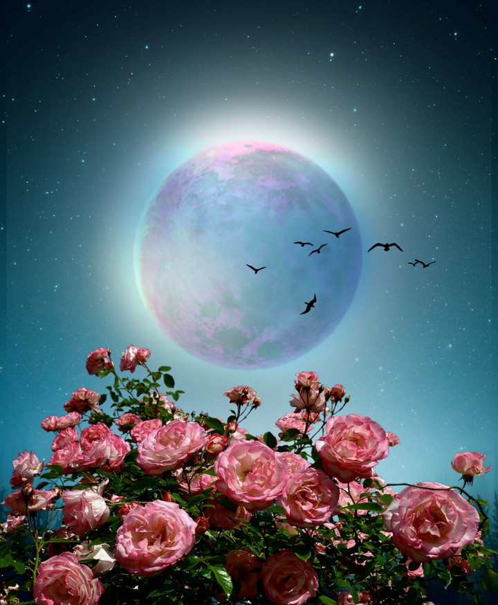 Moon