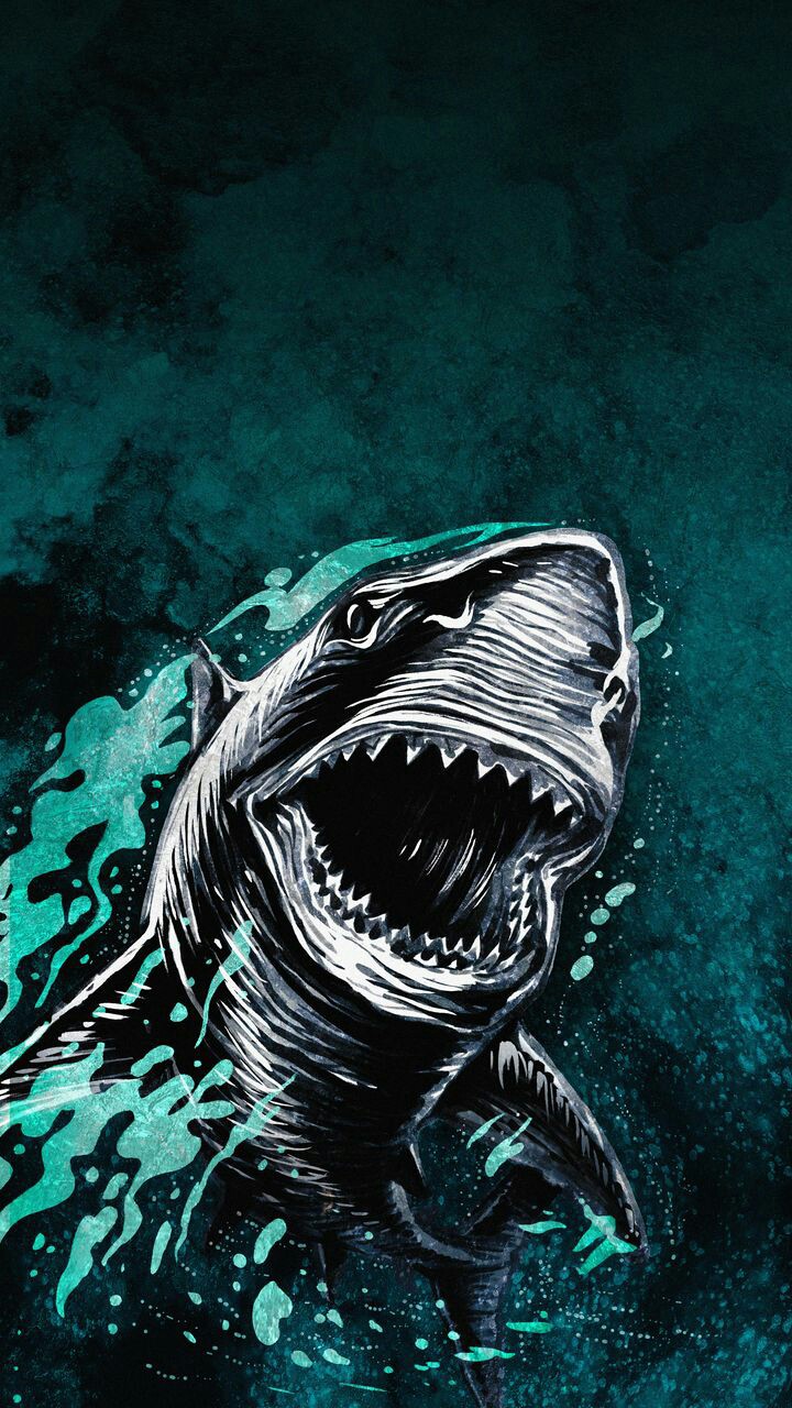 shark