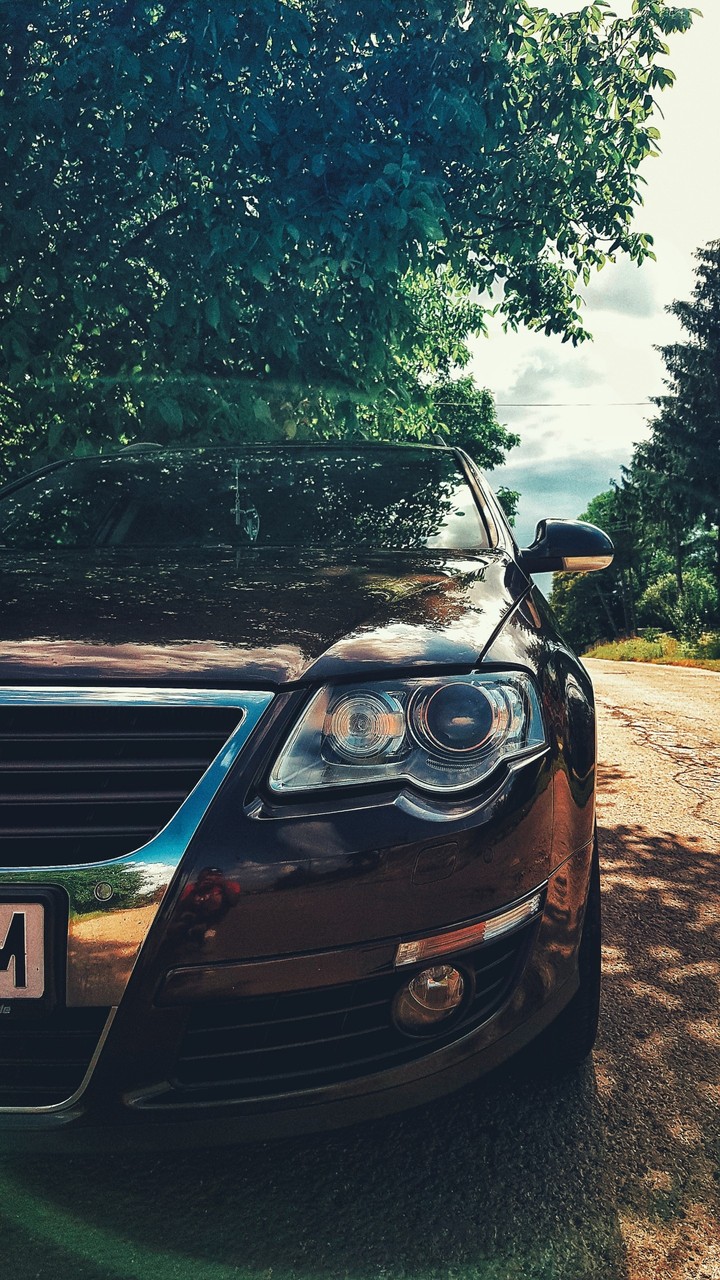 Passat B6