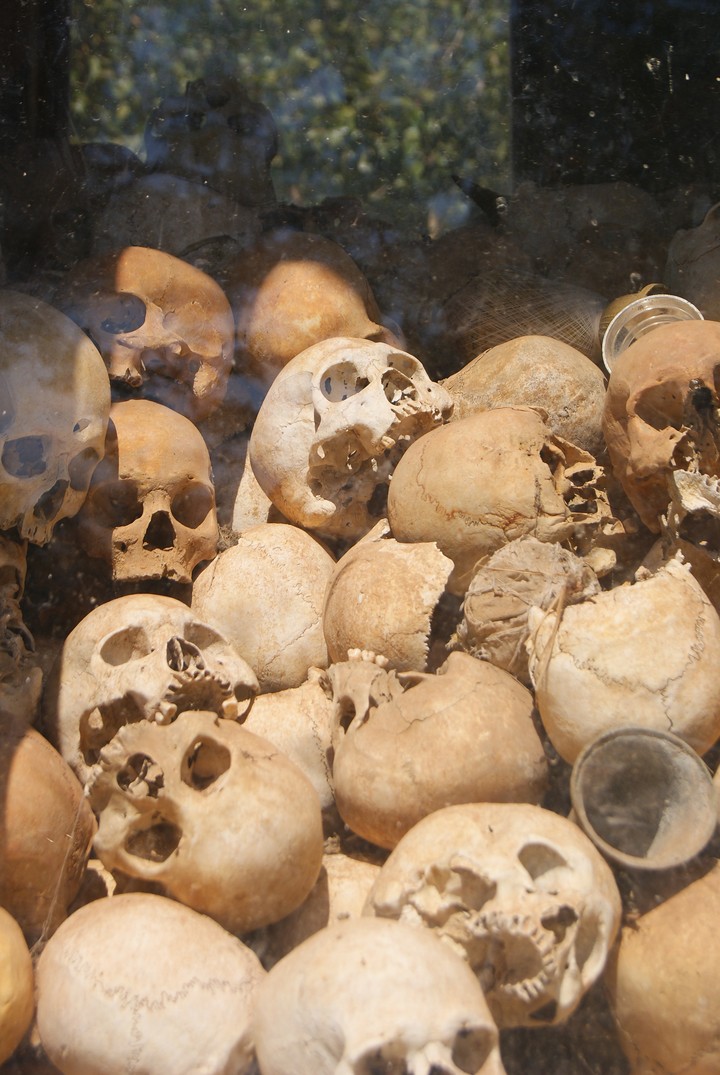 Human Skeleton