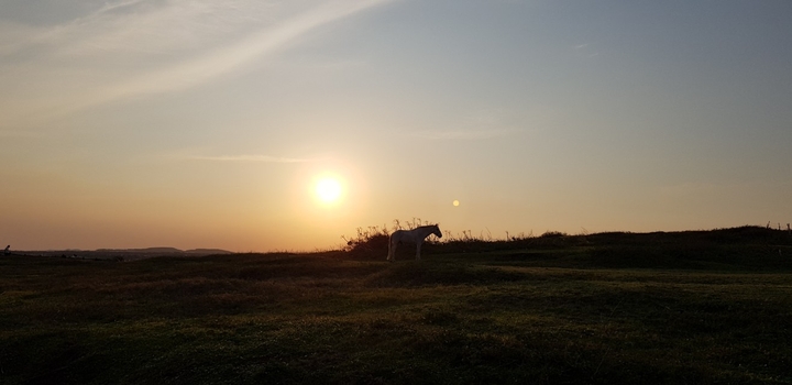 Jeju island, Korea