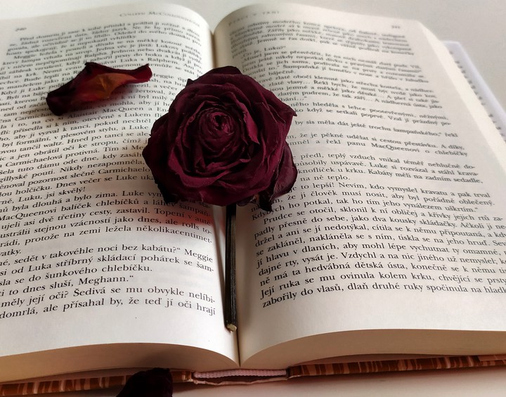book