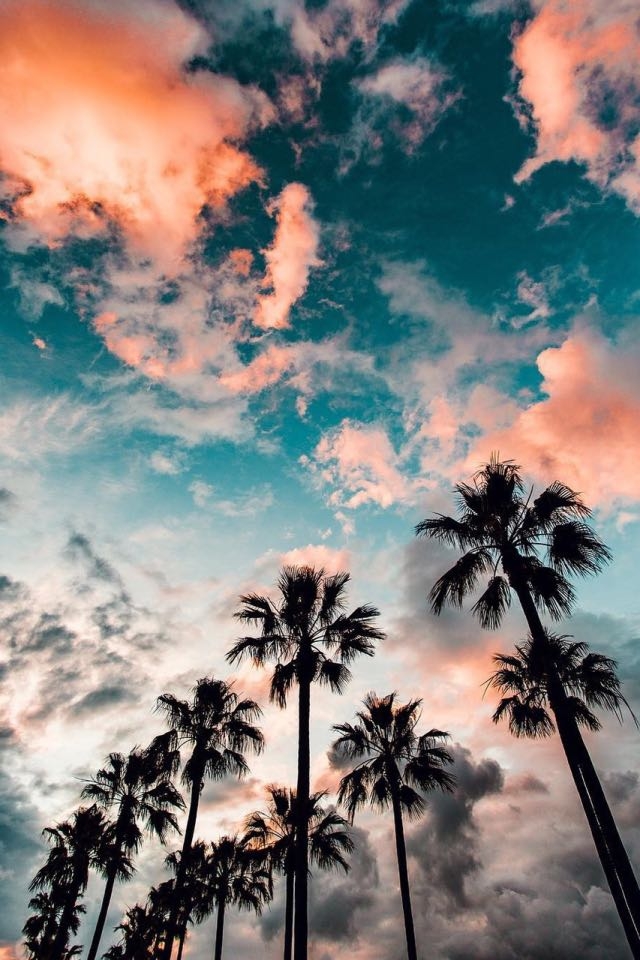 •Sunset•