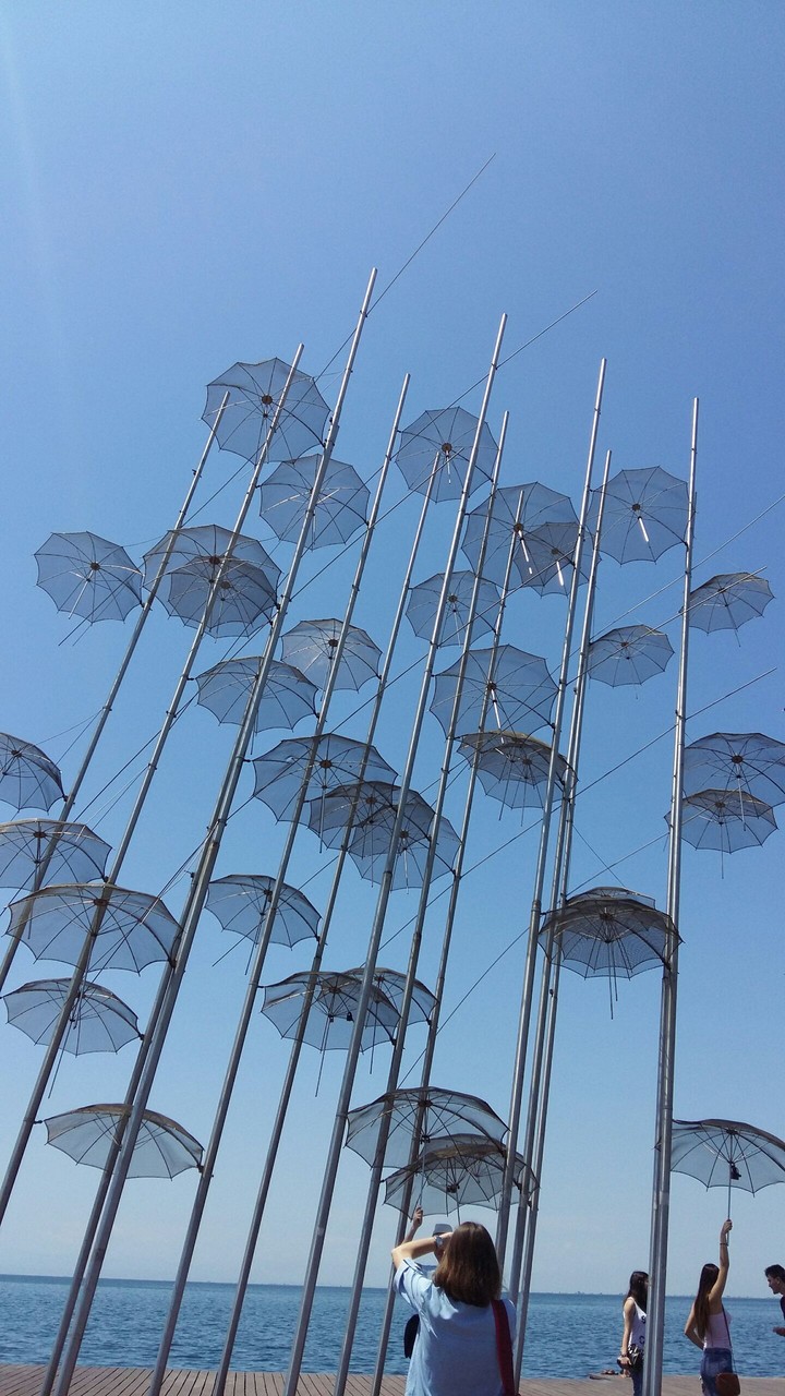 Umbrella