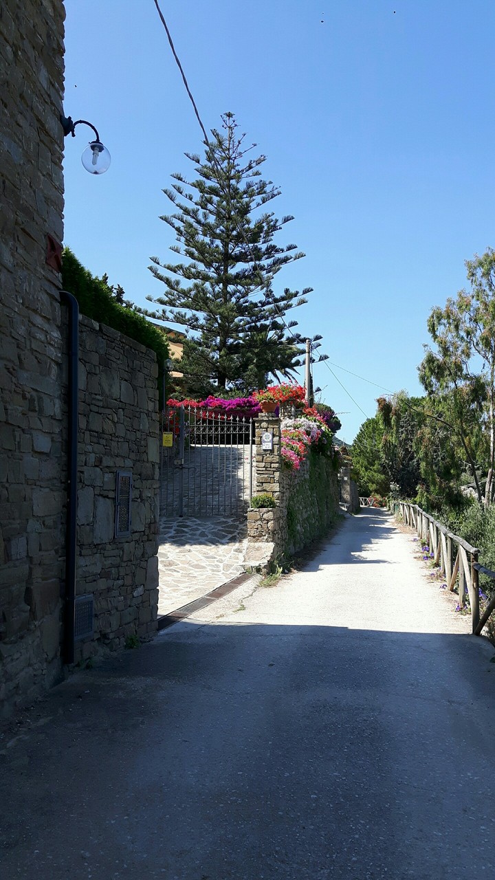 street' s sea