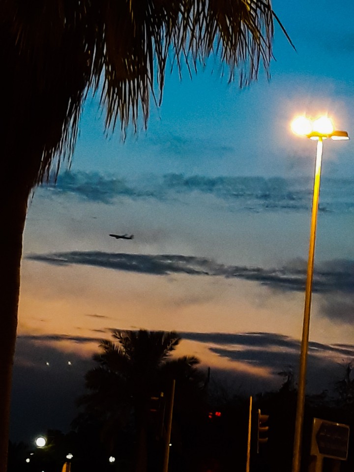 the Sunset